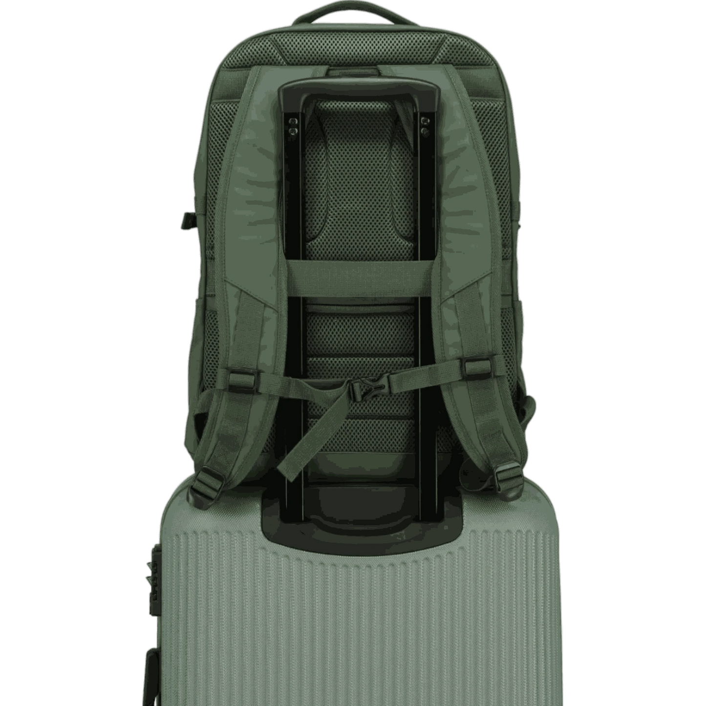 Travelite Basics Rucksack mit Laptopfach 48 cm -Oliv KOFFER-PLUS.COM