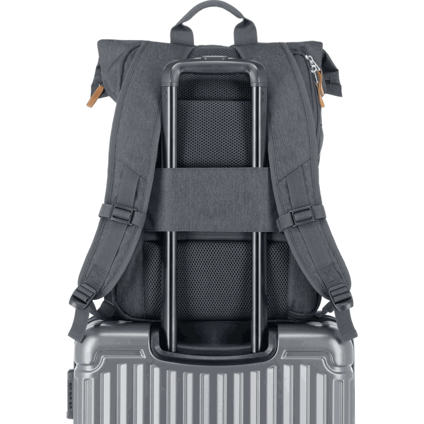 Travelite Basics Rolltop-Rucksack 60 cm -Anthrazit KOFFER-PLUS.COM