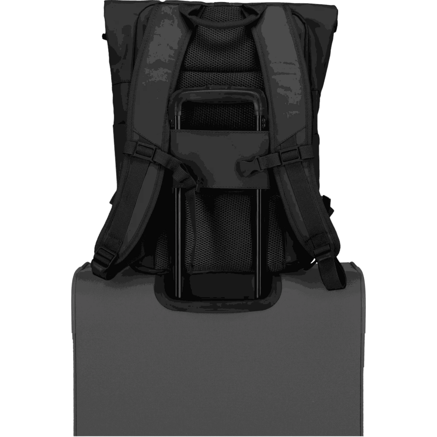 Travelite Basics Rolltop-Rucksack 60 cm -Schwarz KOFFER-PLUS.COM