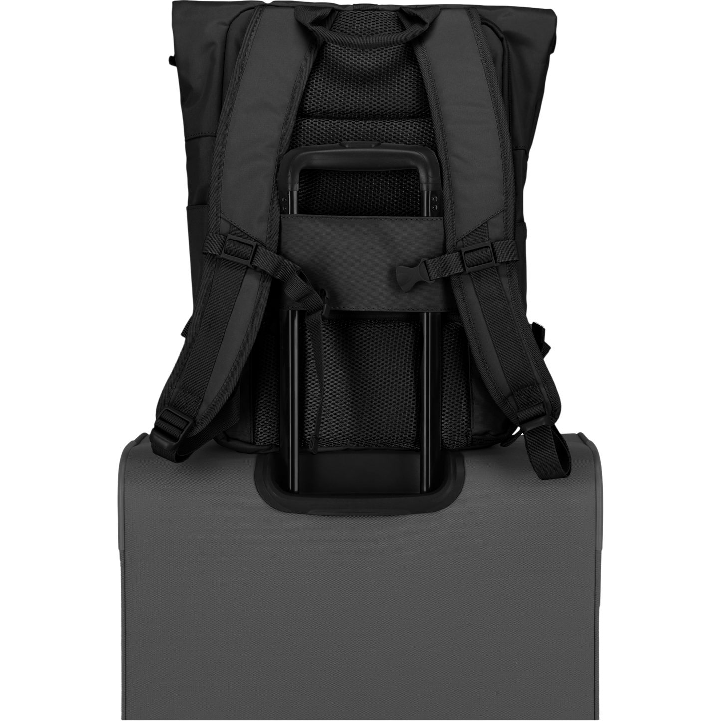 Travelite Basics Rolltop-Rucksack 60 cm -Schwarz KOFFER-PLUS.COM