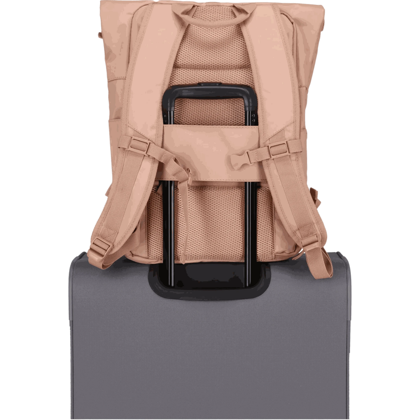 Travelite Basics Rolltop-Rucksack 60 cm -Puderrosa KOFFER-PLUS.COM