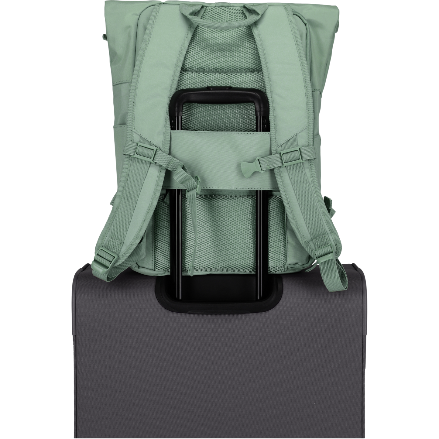 Travelite Basics Rolltop-Rucksack 60 cm -Hellgrün KOFFER-PLUS.COM