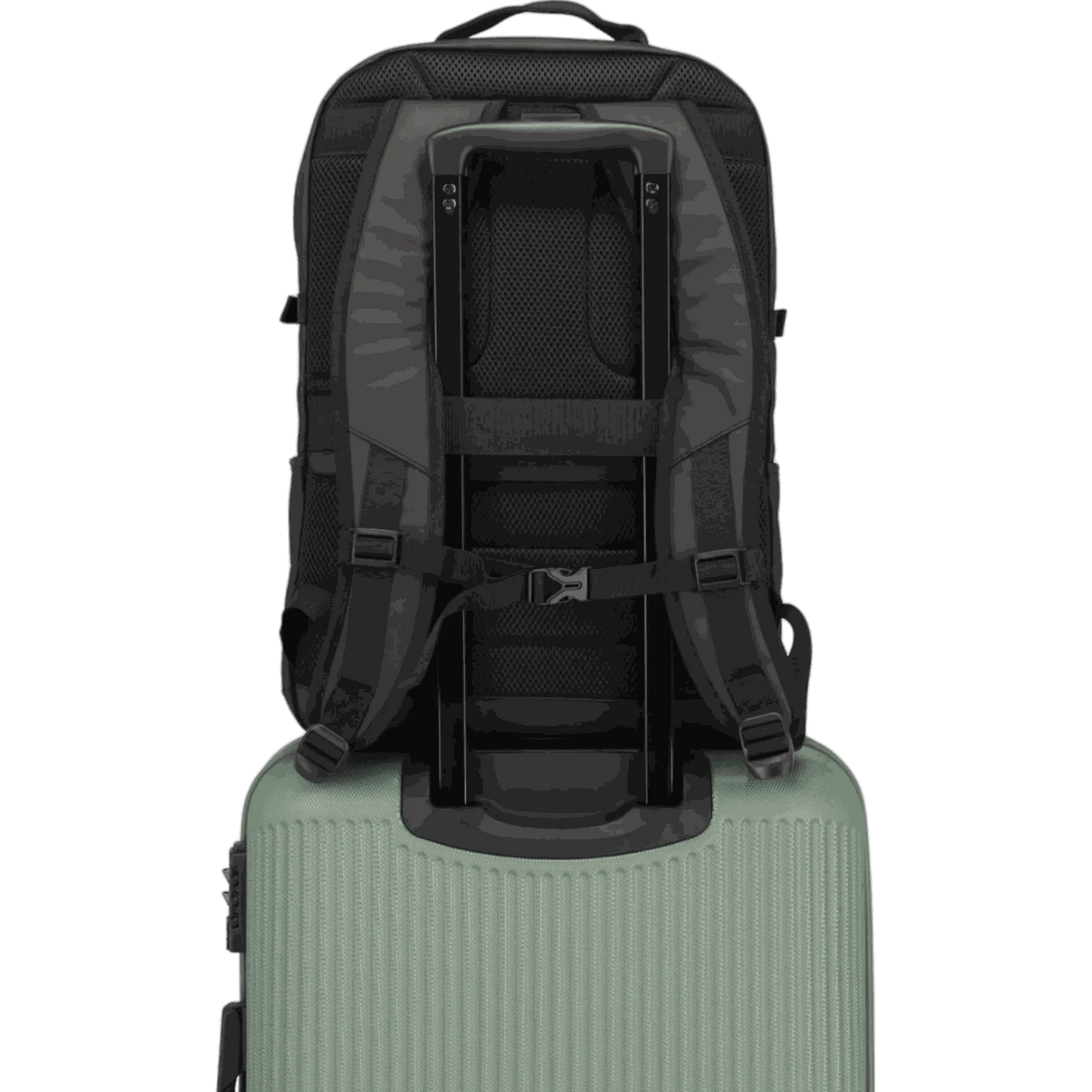 Travelite Basics Rucksack mit Laptopfach 48 cm -Schwarz KOFFER-PLUS.COM