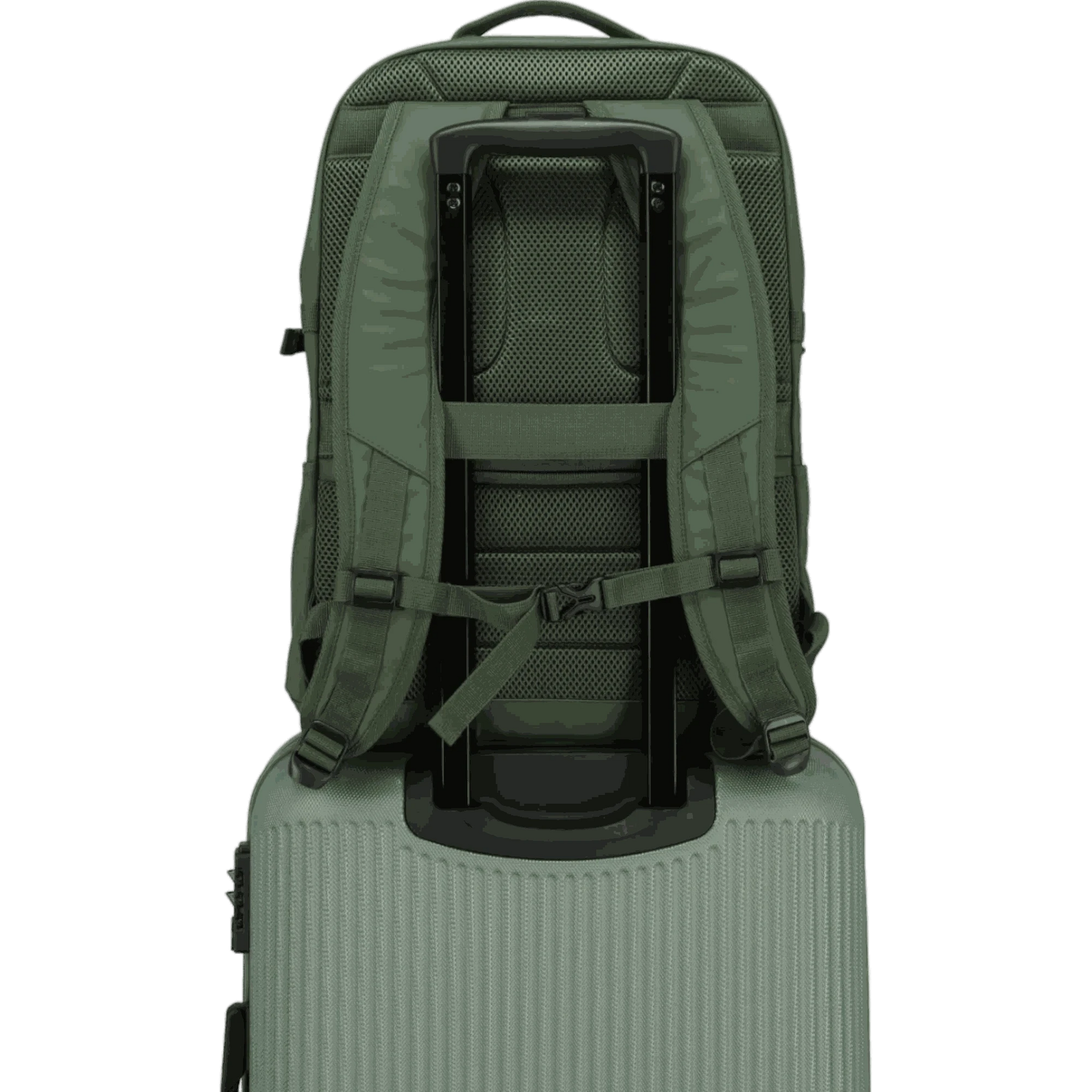 Travelite Basics Rucksack mit Laptopfach 48 cm -Oliv KOFFER-PLUS.COM