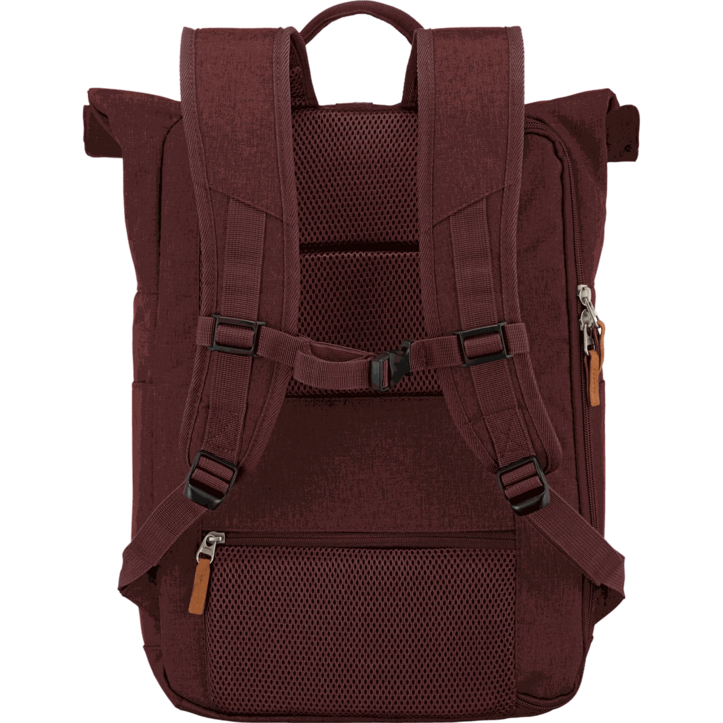 Travelite Basics Rolltop-Rucksack 60 cm -Bordeaux KOFFER-PLUS.COM