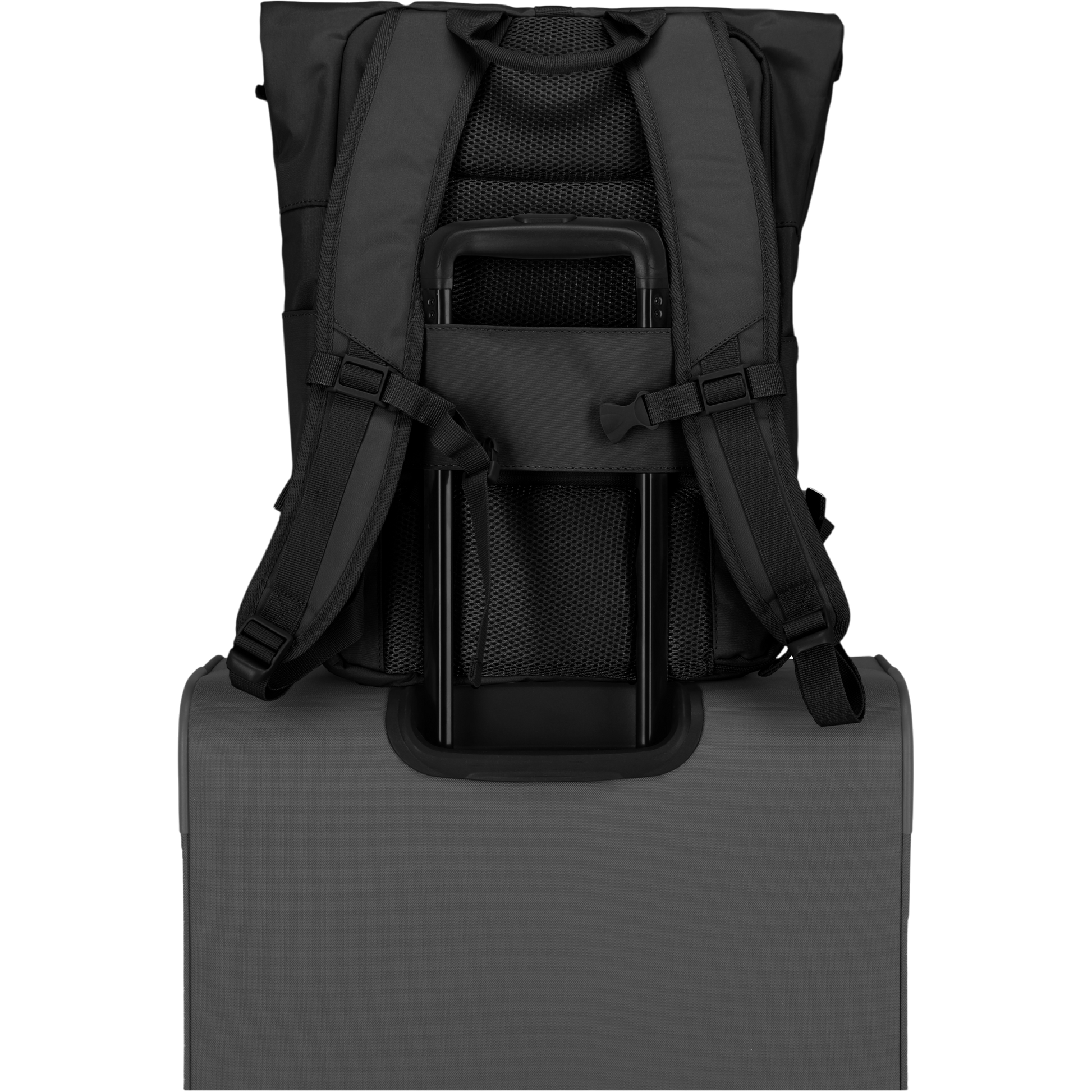 Travelite Basics Rolltop-Rucksack 60 cm -Schwarz KOFFER-PLUS.COM