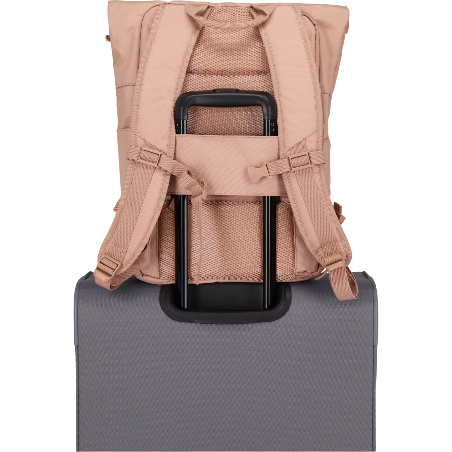 Travelite Basics Rolltop-Rucksack 60 cm -Puderrosa KOFFER-PLUS.COM