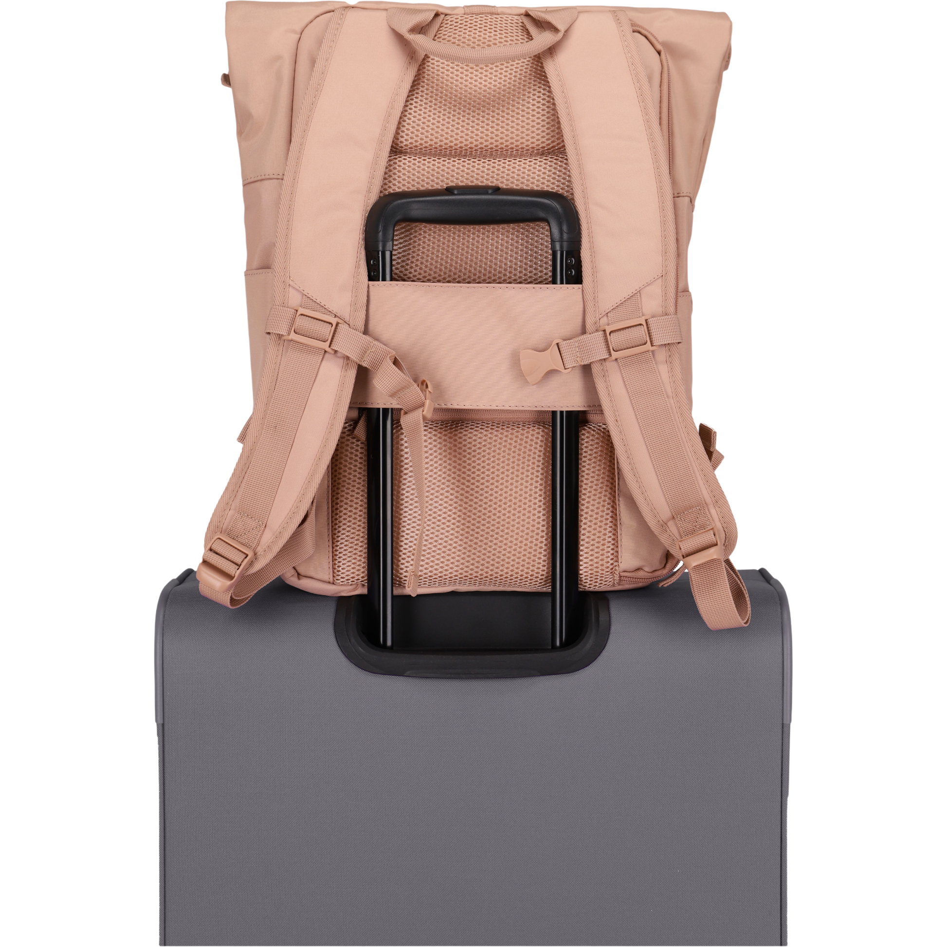 Travelite Basics Rolltop-Rucksack 60 cm -Puderrosa KOFFER-PLUS.COM