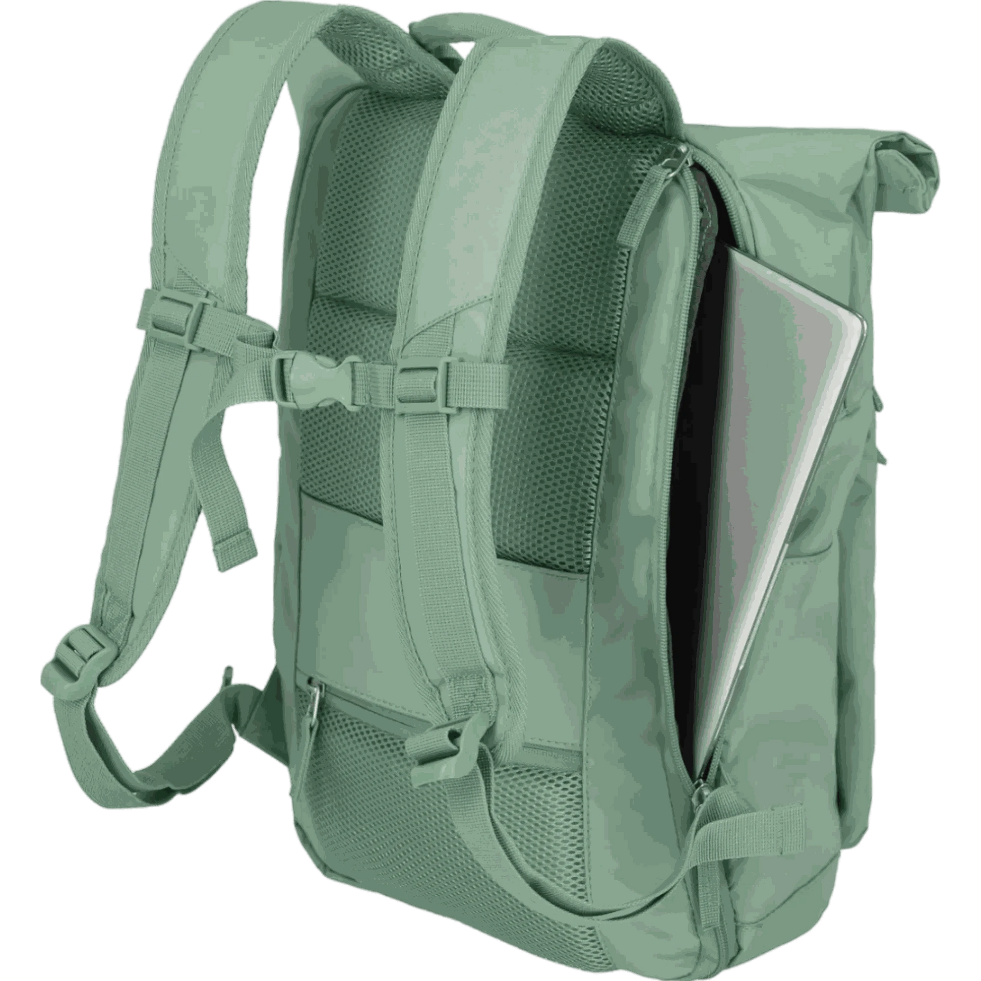 Travelite Basics Rolltop-Rucksack 60 cm -Hellgrün KOFFER-PLUS.COM