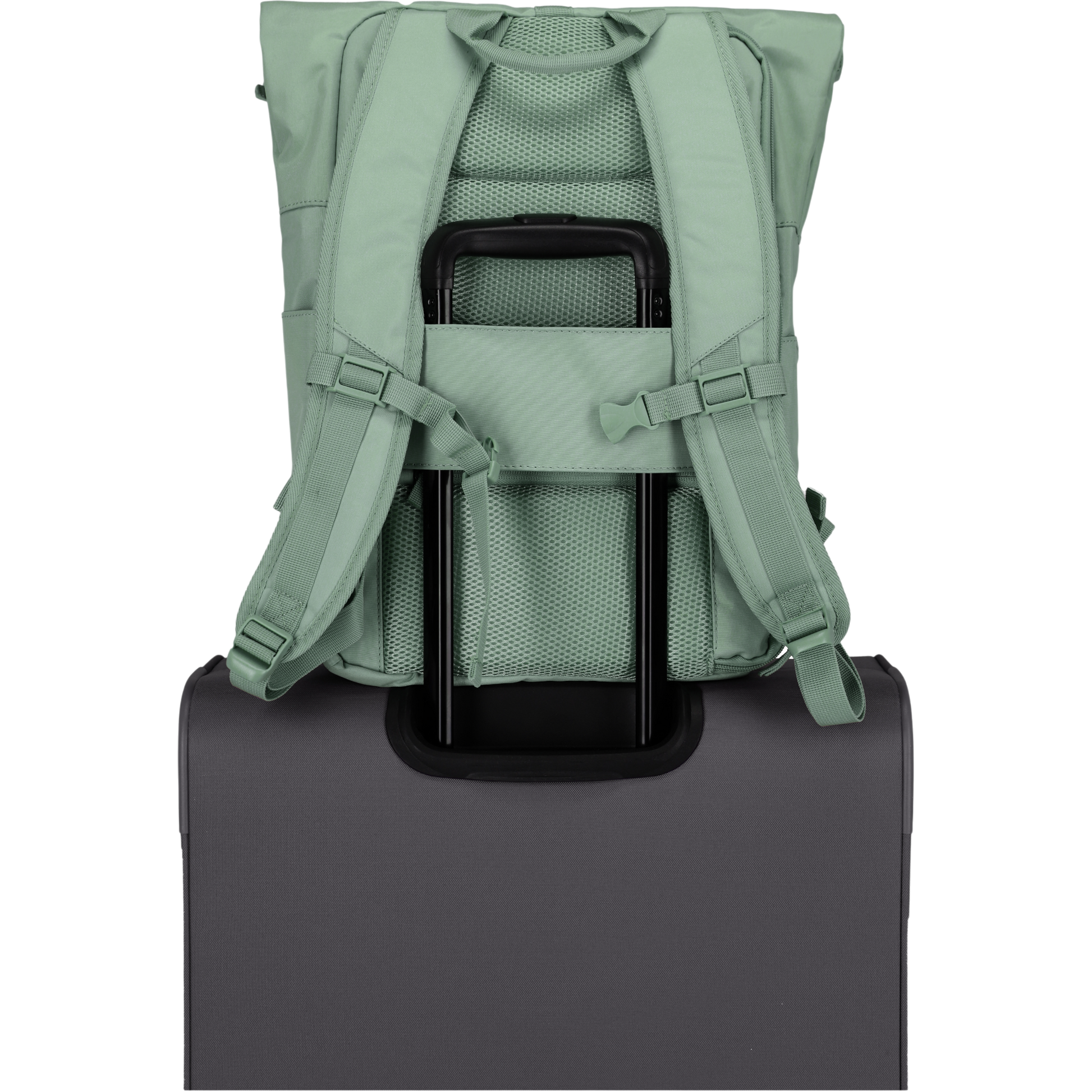 Travelite Basics Rolltop-Rucksack 60 cm -Hellgrün KOFFER-PLUS.COM